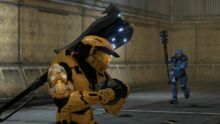 Halo：士官长合集在下一个 Halo Infinite Beta 之前带回了 Grifball